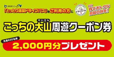 バナー 大山ワンダー.jpg