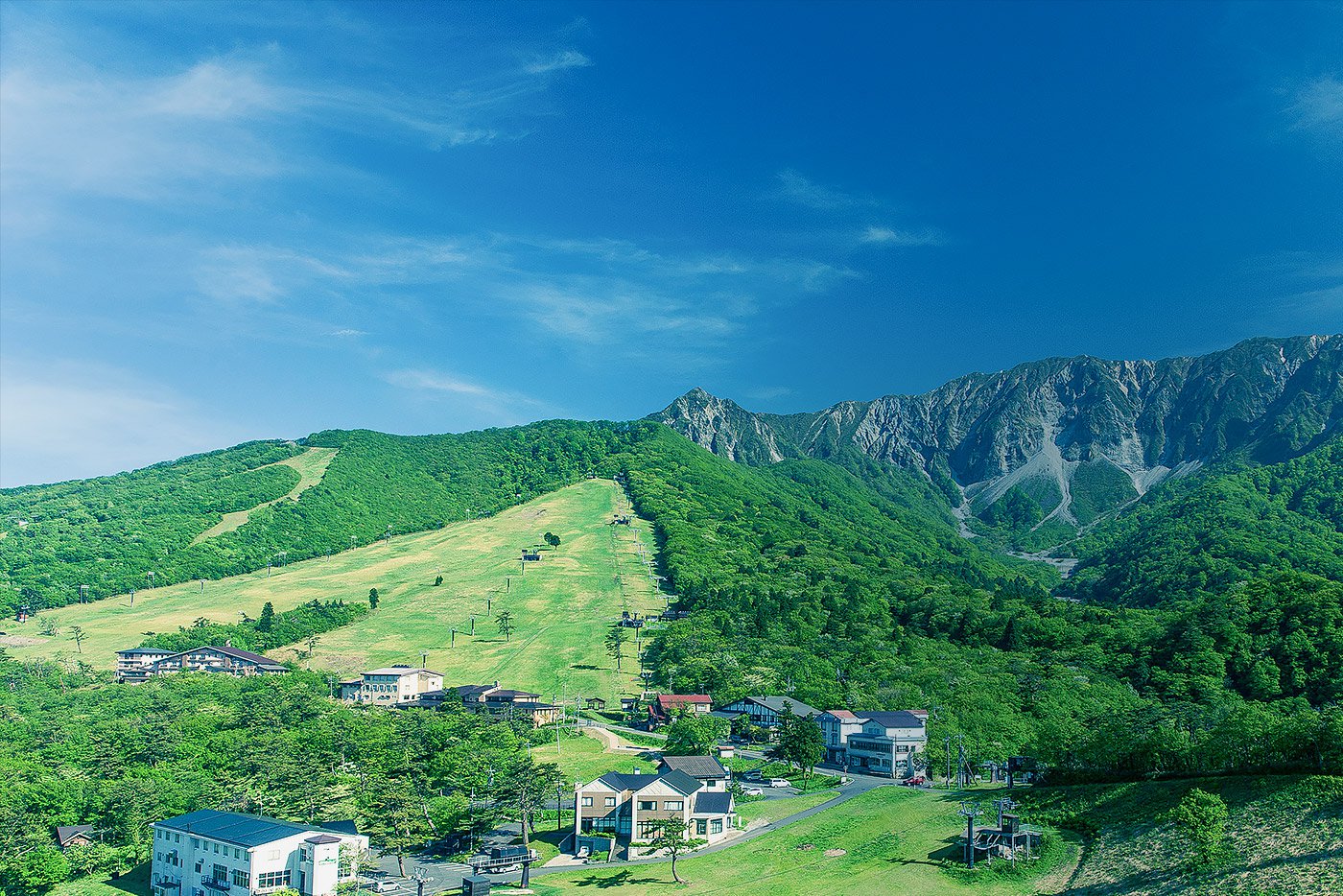 main_photo.jpg