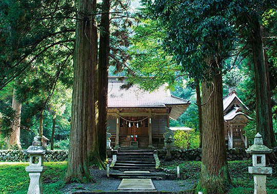 樂樂福神社 楽楽福神社.jpg
