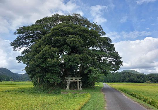 小原神社(客神社) 客神社.jpg