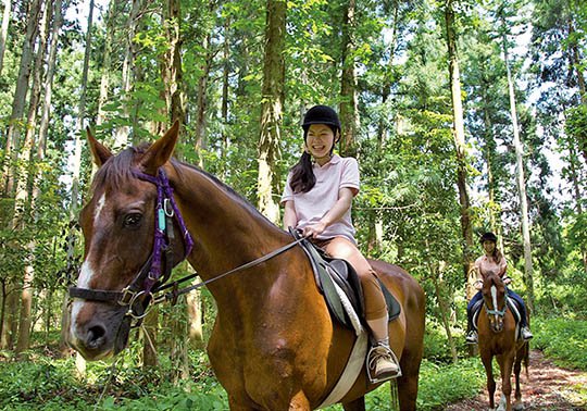 大山乗馬センター 乗馬.jpg